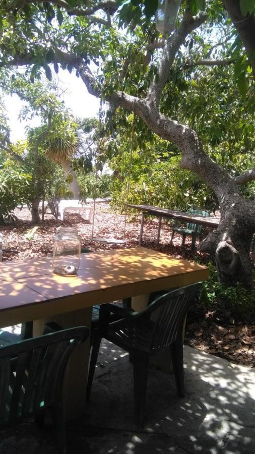 Casa Los Mangos Villa Tijarafe Exterior foto